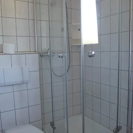 Blaue Traube Han/Misafirhane Gebenbach